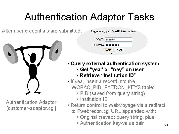 Authentication Adaptor Tasks After user credentials are submitted: Authentication Adaptor [customer-adaptor. cgi] • Query