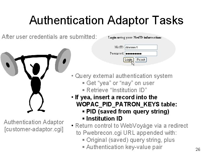 Authentication Adaptor Tasks After user credentials are submitted: Authentication Adaptor [customer-adaptor. cgi] • Query