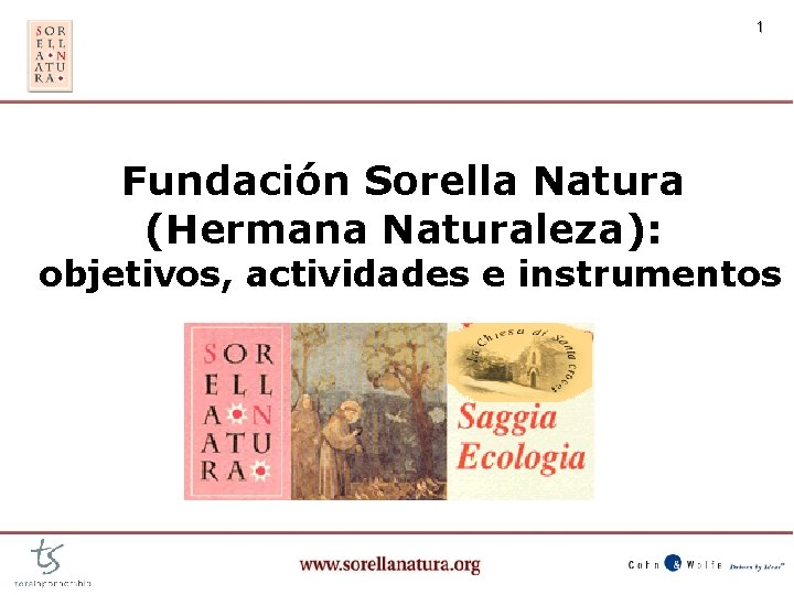 1 Fundación Sorella Natura (Hermana Naturaleza): objetivos, actividades e instrumentos 