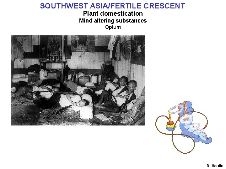 SOUTHWEST ASIA/FERTILE CRESCENT Plant domestication Mind altering substances Opium D. Hardin 