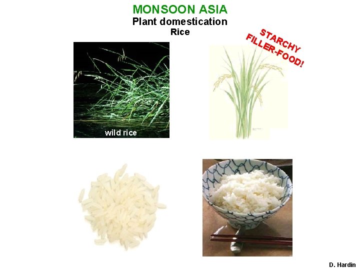 MONSOON ASIA Plant domestication Rice S FIL TAR LE CH R-F Y OO D!