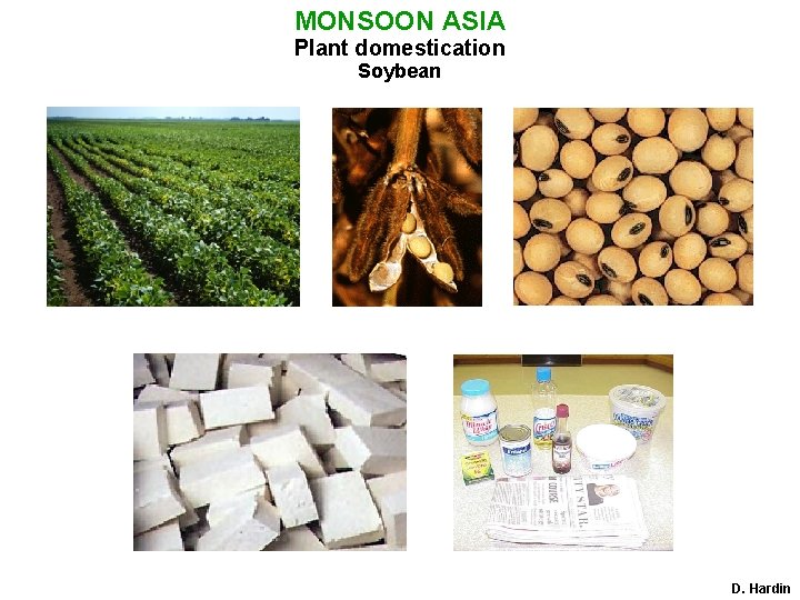 MONSOON ASIA Plant domestication Soybean D. Hardin 