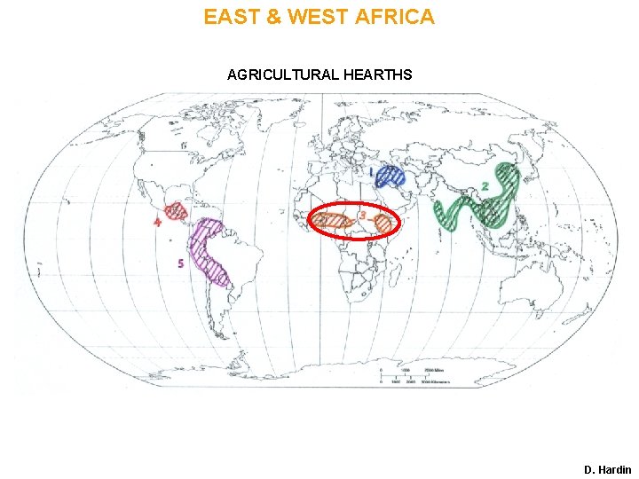 EAST & WEST AFRICA AGRICULTURAL HEARTHS D. Hardin 