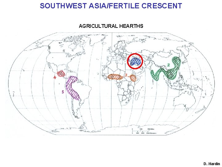 SOUTHWEST ASIA/FERTILE CRESCENT AGRICULTURAL HEARTHS D. Hardin 