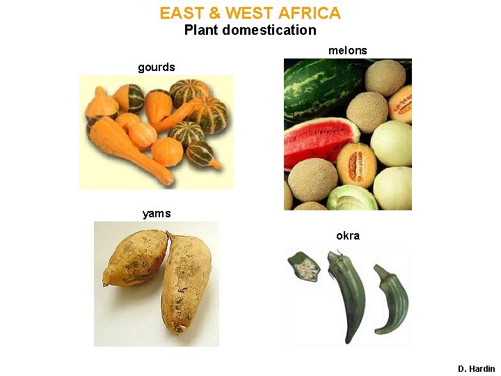 EAST & WEST AFRICA Plant domestication melons gourds yams okra D. Hardin 