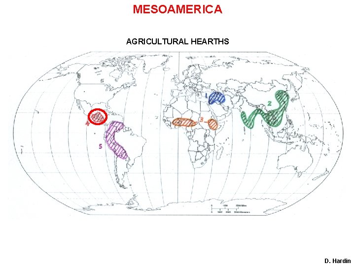 MESOAMERICA AGRICULTURAL HEARTHS D. Hardin 