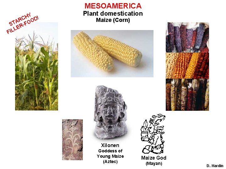 MESOAMERICA HY D! C O AR ST R-FO LE L I F Plant domestication