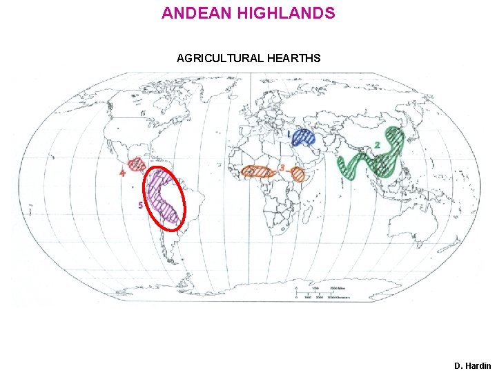 ANDEAN HIGHLANDS AGRICULTURAL HEARTHS D. Hardin 