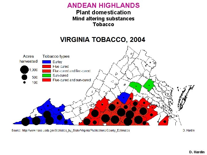 ANDEAN HIGHLANDS Plant domestication Mind altering substances Tobacco D. Hardin 