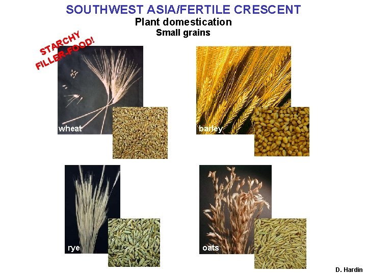 SOUTHWEST ASIA/FERTILE CRESCENT Plant domestication HY D! C AR FOO T S RLE L