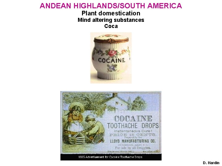 ANDEAN HIGHLANDS/SOUTH AMERICA Plant domestication Mind altering substances Coca D. Hardin 