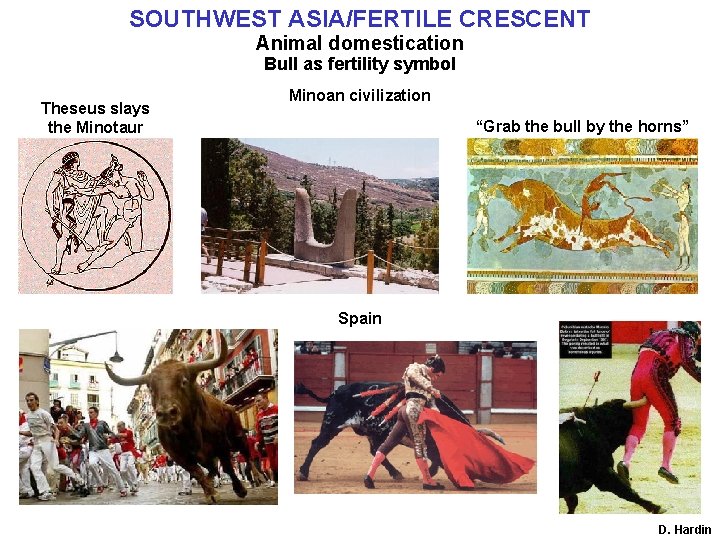 SOUTHWEST ASIA/FERTILE CRESCENT Animal domestication Bull as fertility symbol Theseus slays the Minotaur Minoan