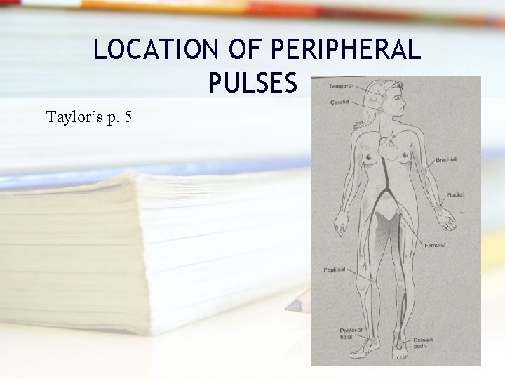 LOCATION OF PERIPHERAL PULSES Taylor’s p. 5 