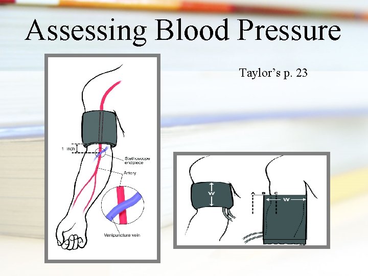 Assessing Blood Pressure Taylor’s p. 23 