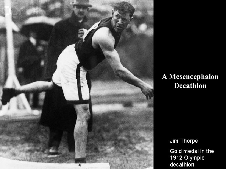 A Mesencephalon Decathlon Jim Thorpe Gold medal in the 1912 Olympic decathlon 