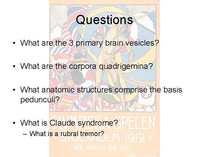 Questions • What are the 3 primary brain vesicles? • What are the corpora