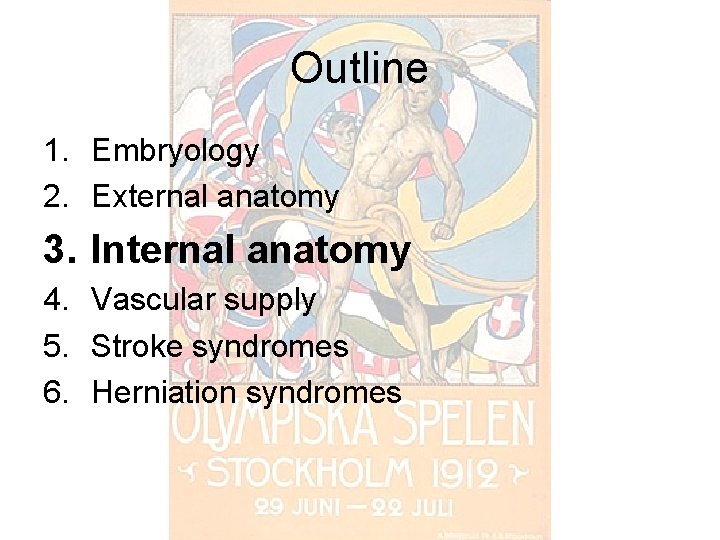 Outline 1. Embryology 2. External anatomy 3. Internal anatomy 4. Vascular supply 5. Stroke