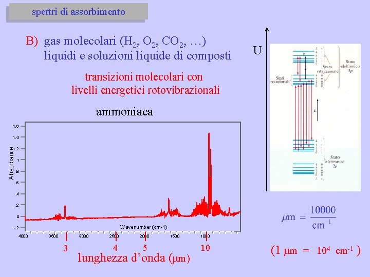 spettri di assorbimento B) gas molecolari (H 2, O 2, CO 2, …) liquidi