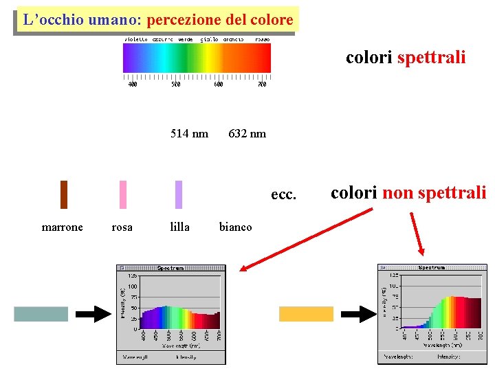 L’occhio umano: percezione del colore colori spettrali 514 nm 632 nm ecc. marrone rosa
