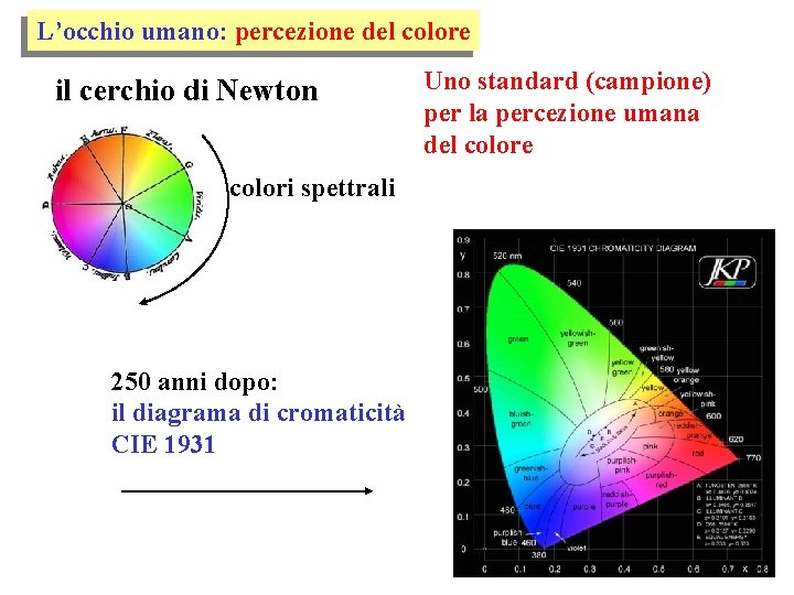 L’occhio umano: percezione del colore il cerchio di Newton colori spettrali 250 anni dopo: