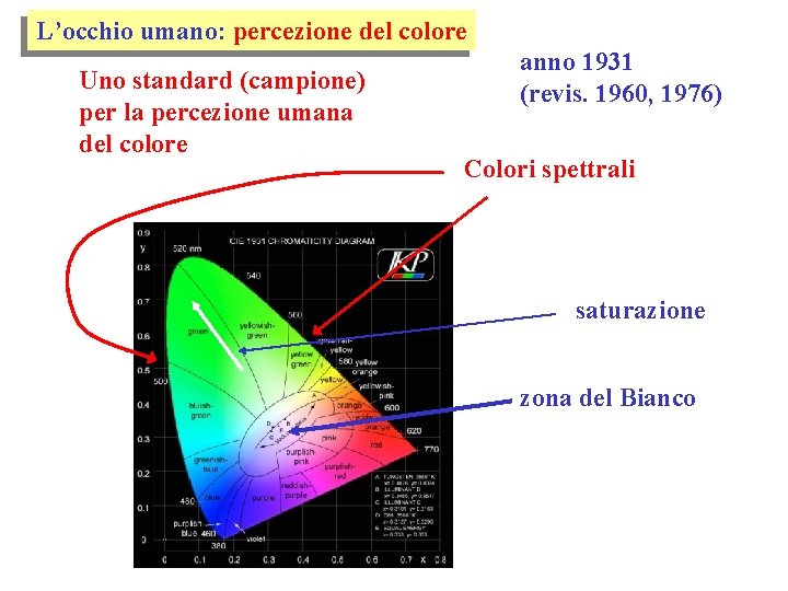 L’occhio umano: percezione del colore Uno standard (campione) per la percezione umana del colore