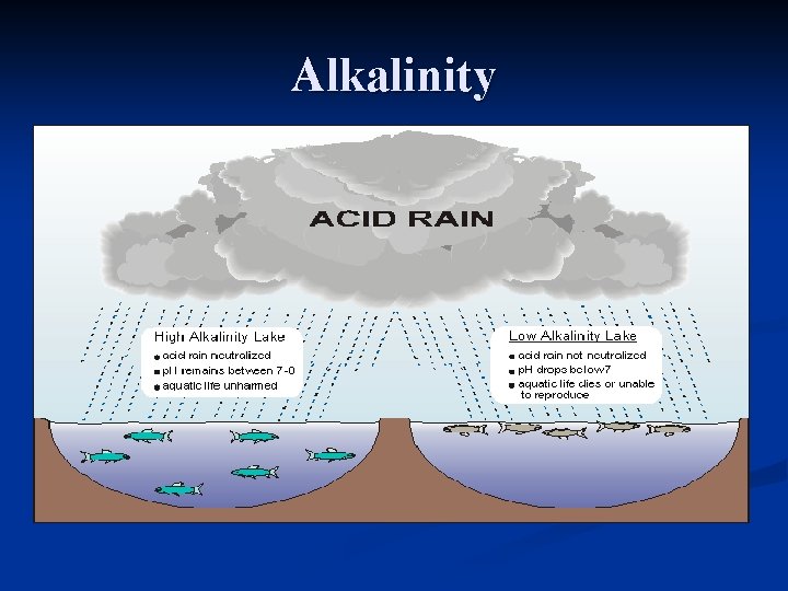 Alkalinity 