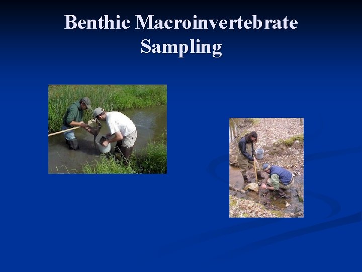 Benthic Macroinvertebrate Sampling 