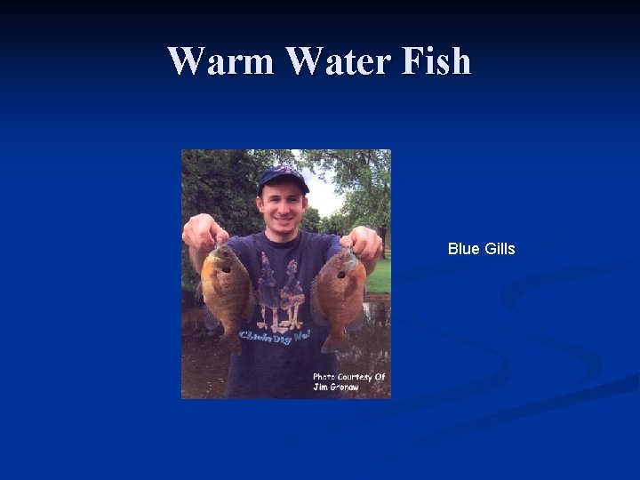 Warm Water Fish Blue Gills 