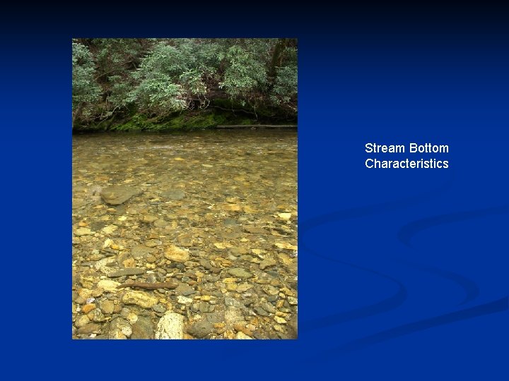 Stream Bottom Characteristics 