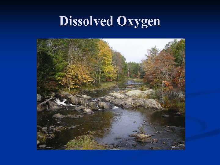 Dissolved Oxygen 