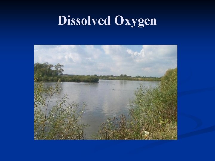 Dissolved Oxygen 