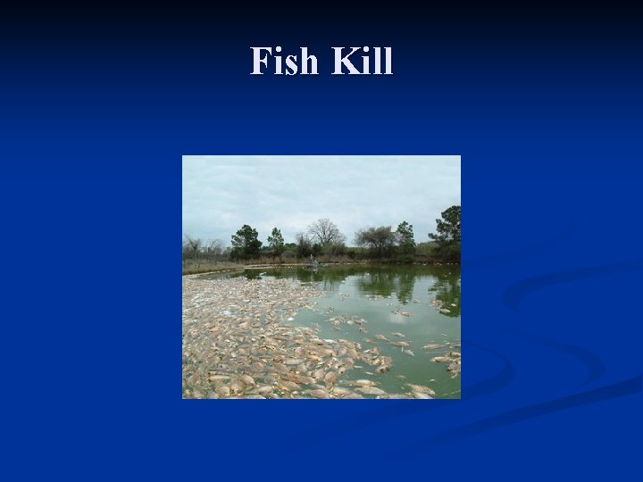 Fish Kill 