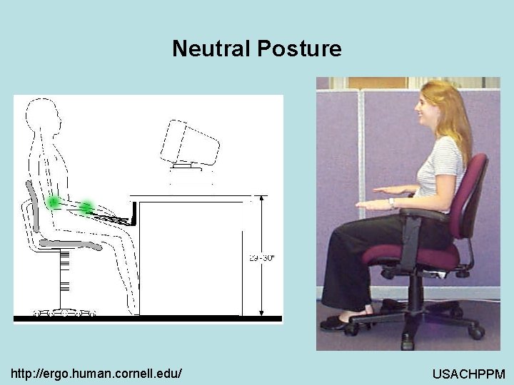 Neutral Posture http: //ergo. human. cornell. edu/ USACHPPM 