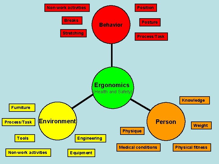 Non-work activities Breaks Position Posture Behavior Stretching Process/Task Ergonomics (Health and Safety) Knowledge Furniture