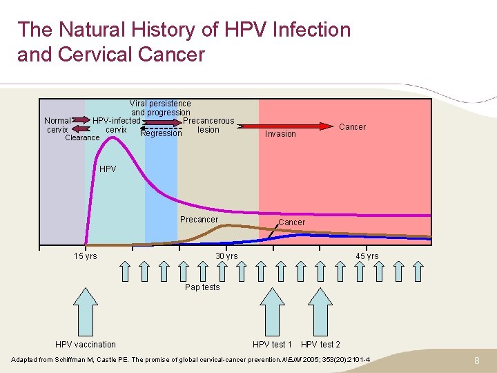 The Natural History of HPV Infection and Cervical Cancer Normal cervix Viral persistence and