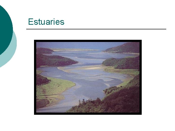 Estuaries 