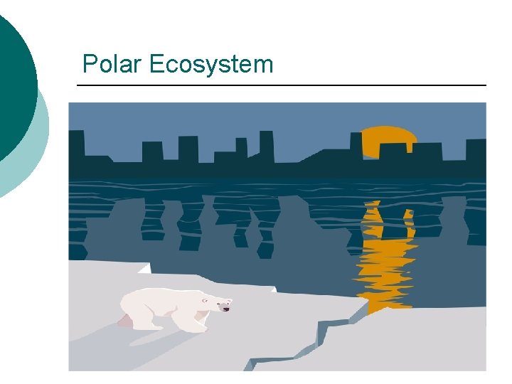 Polar Ecosystem 