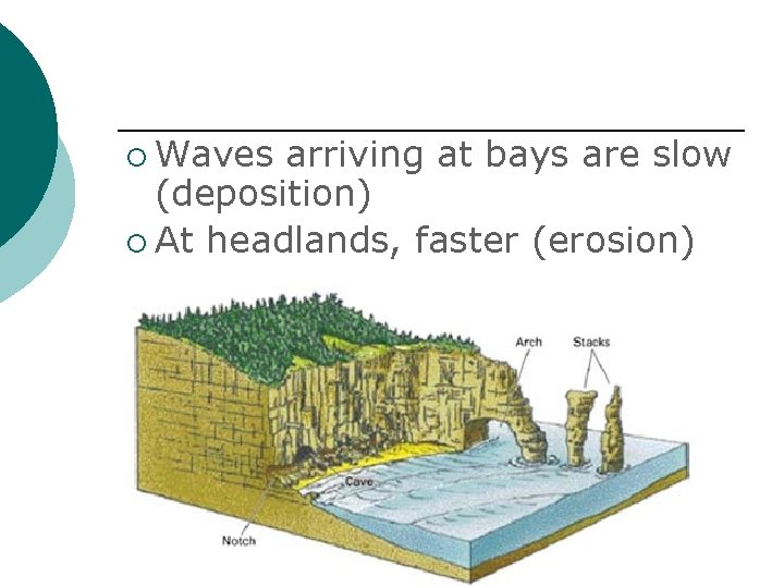 ¡ Waves arriving at bays are slow (deposition) ¡ At headlands, faster (erosion) 