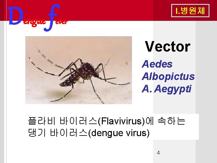 Dengue f I. 병원체 ever Vector Aedes Albopictus A. Aegypti 플라비 바이러스(Flavivirus)에 속하는 댕기