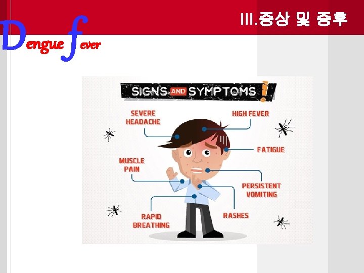 Dengue f III. 증상 및 증후 ever 