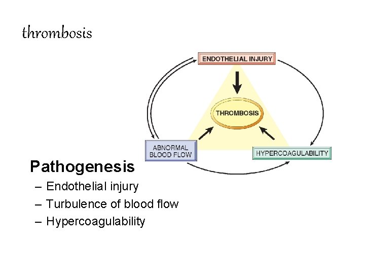 thrombosis Pathogenesis – Endothelial injury – Turbulence of blood flow – Hypercoagulability 