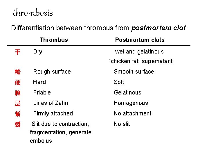 thrombosis Differentiation between thrombus from postmortem clot Thrombus 干 Dry Postmortum clots wet and