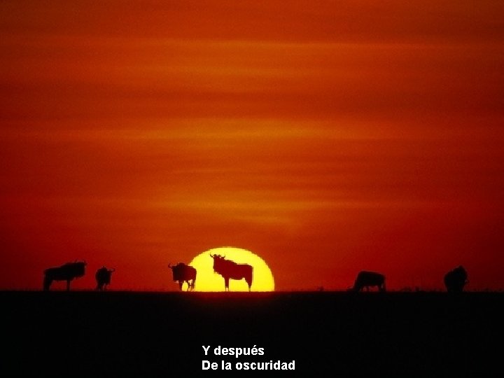 Y después De la oscuridad Y después De la oscuridad
