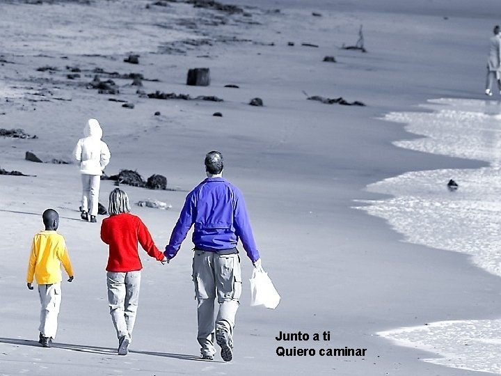 Junto a ti Quiero caminar Junto a ti Quiero caminar