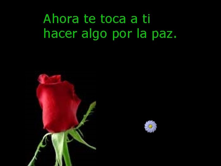 Ahora te toca a ti hacer algo por la paz. Ahora te toca a ti hacer algo por la paz.
