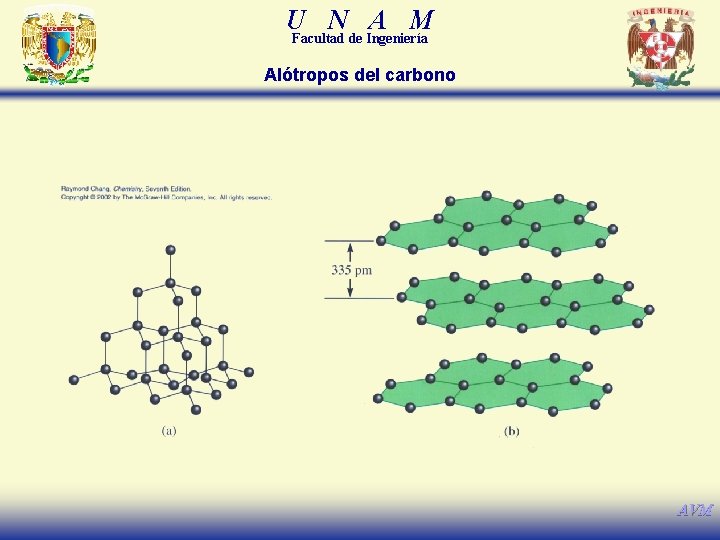 U N A M Facultad de Ingeniería Alótropos del carbono AVM 