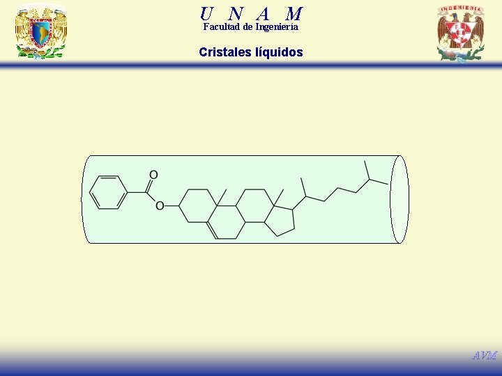 U N A M Facultad de Ingeniería Cristales líquidos AVM 
