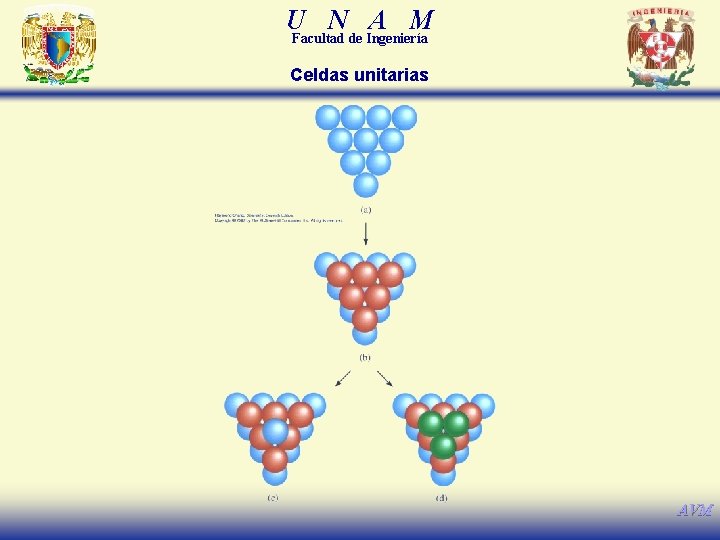 U N A M Facultad de Ingeniería Celdas unitarias AVM 