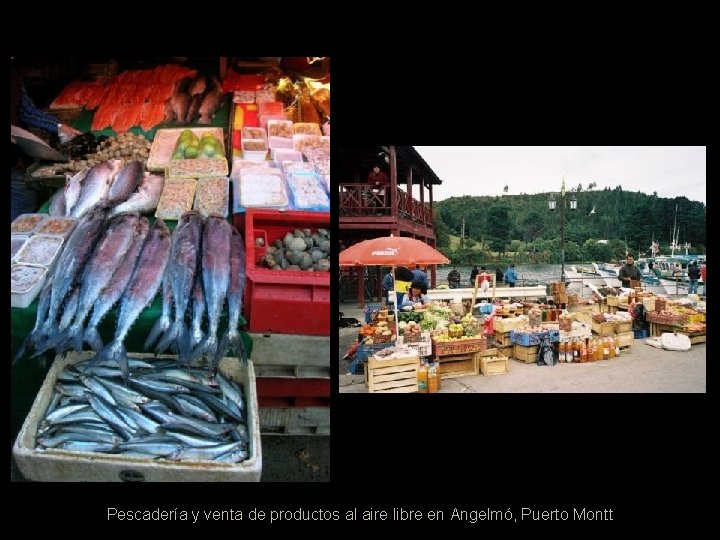 Pescadería y venta de productos al aire libre en Angelmó, Puerto Montt 