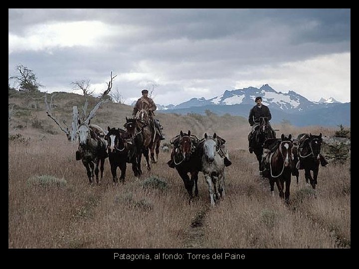 Patagonia, al fondo: Torres del Paine 